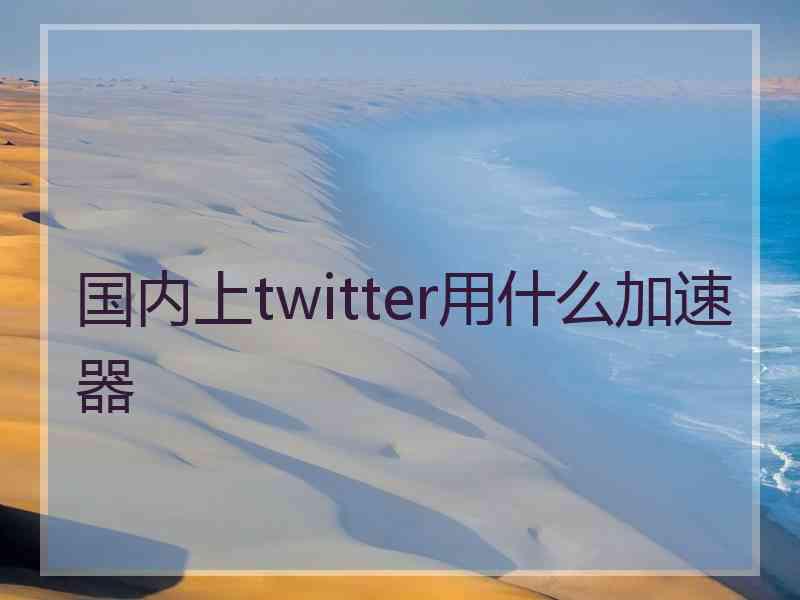 国内上twitter用什么加速器