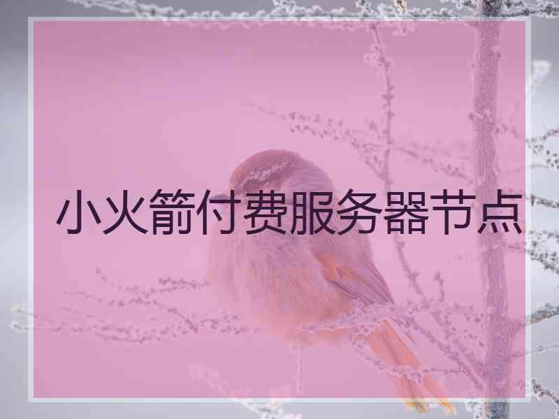 小火箭付费服务器节点