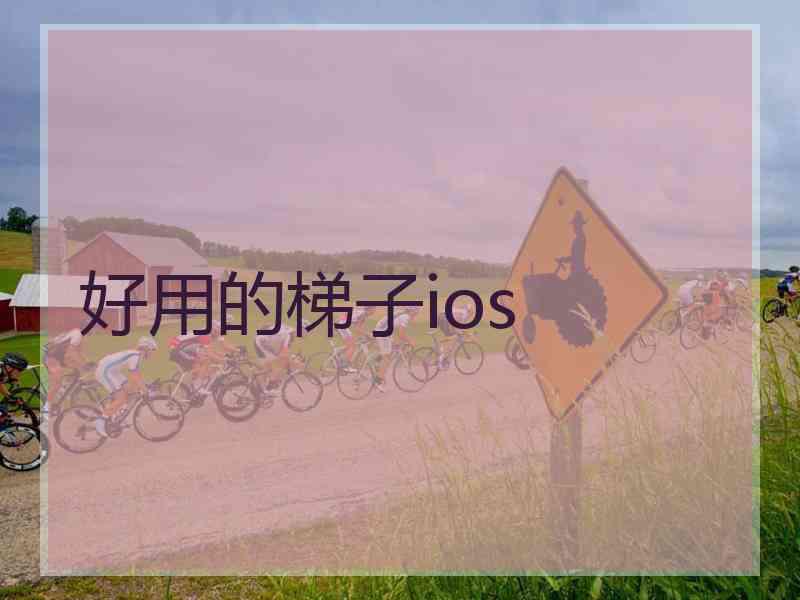 好用的梯子ios