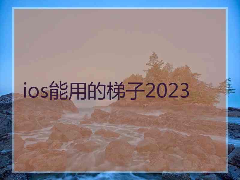 ios能用的梯子2023