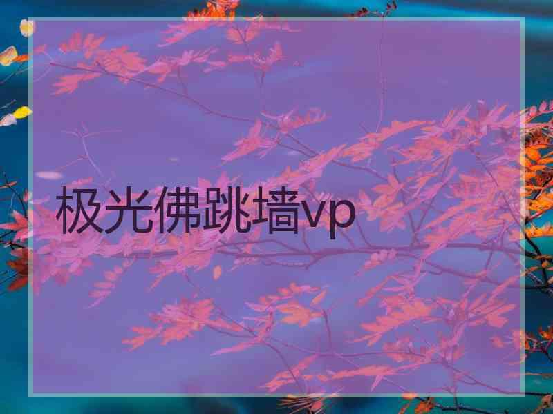 极光佛跳墙vp