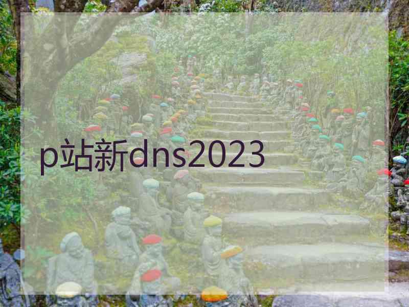 p站新dns2023