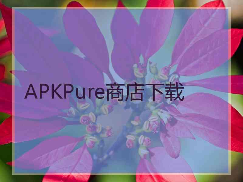 APKPure商店下载