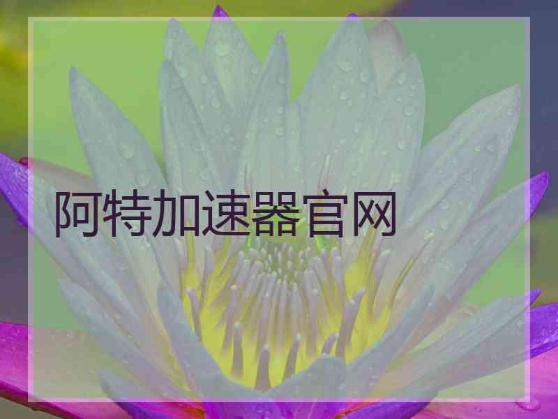 阿特加速器官网