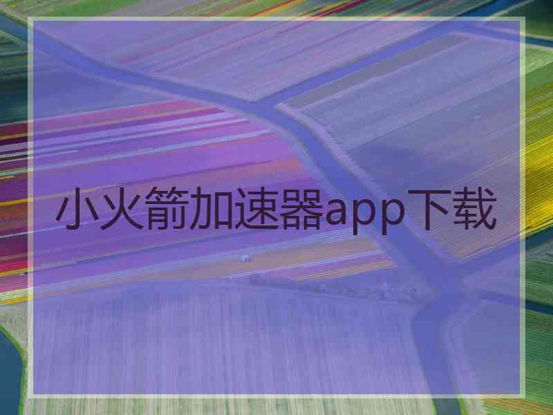 小火箭加速器app下载