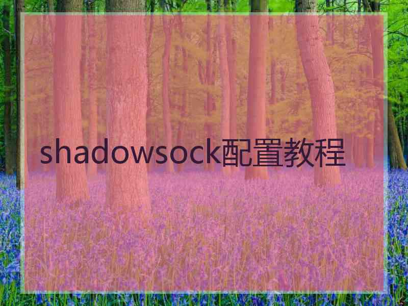 shadowsock配置教程