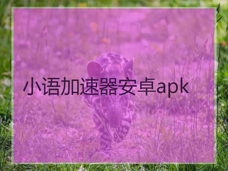 小语加速器安卓apk