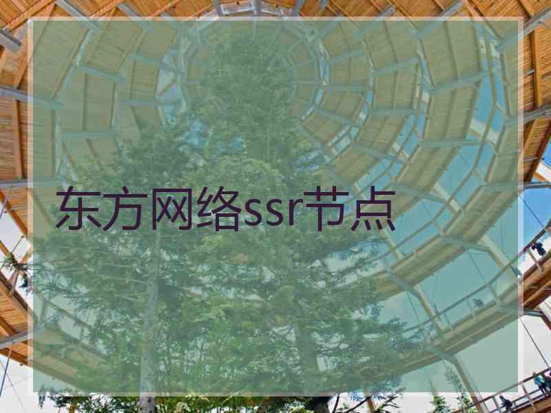 东方网络ssr节点