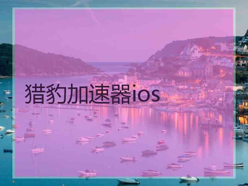 猎豹加速器ios