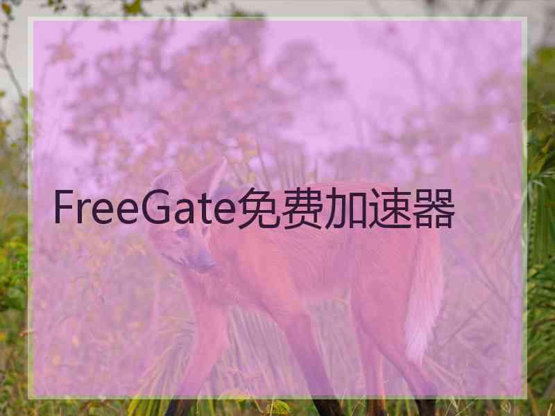 FreeGate免费加速器