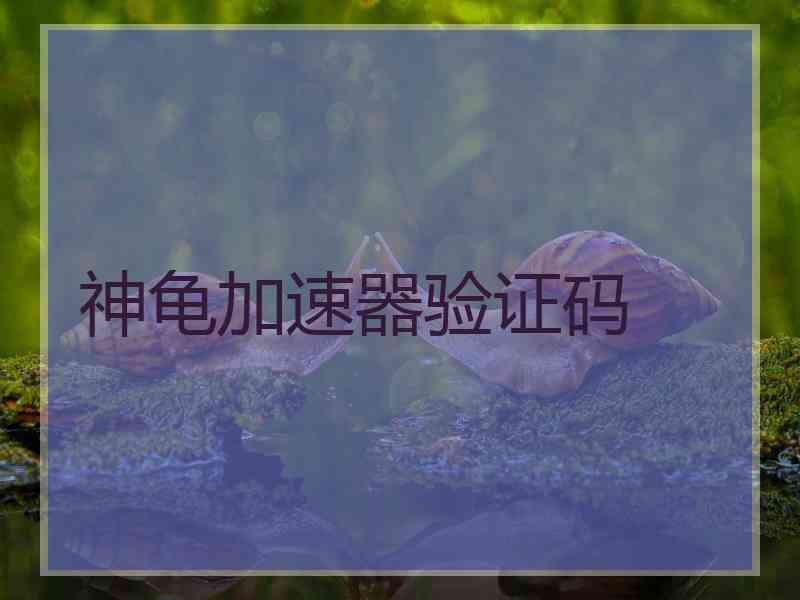 神龟加速器验证码