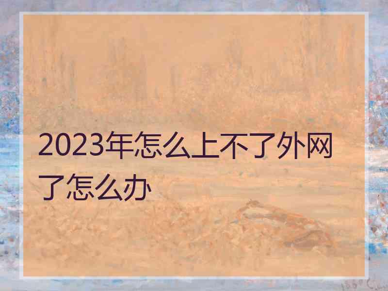 2023年怎么上不了外网了怎么办