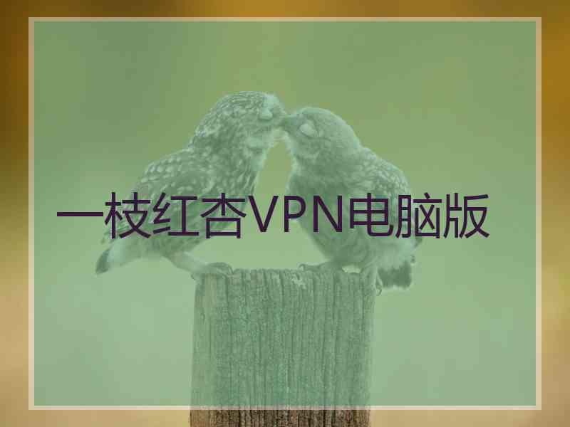 一枝红杏VPN电脑版