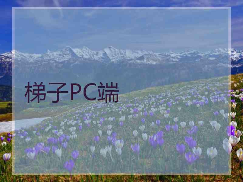 梯子PC端