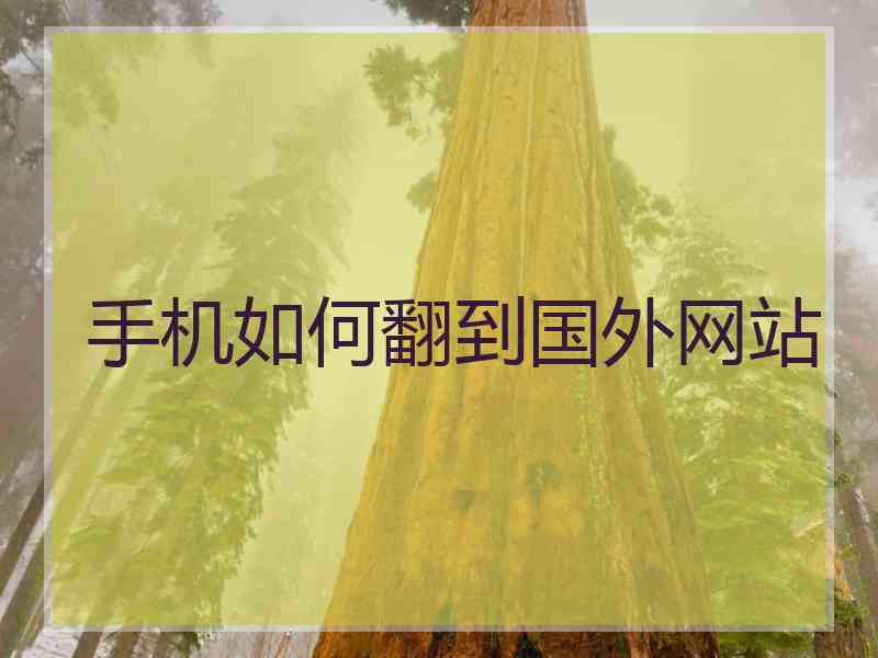 手机如何翻到国外网站