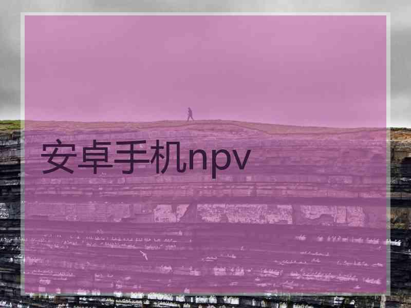 安卓手机npv