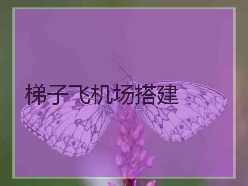 梯子飞机场搭建