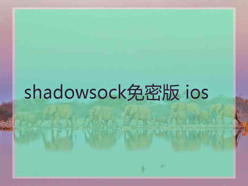 shadowsock免密版 ios