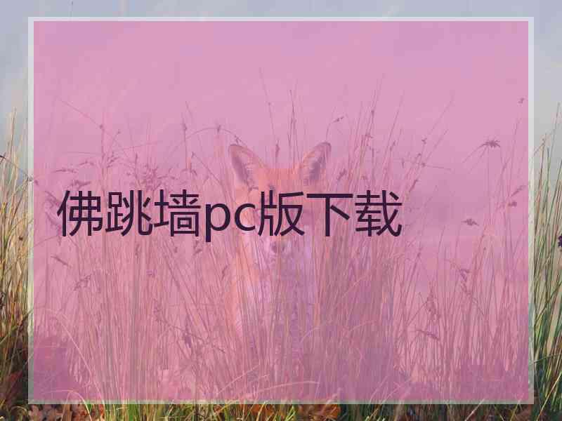 佛跳墙pc版下载