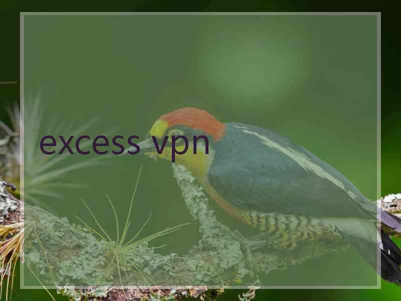 excess vpn