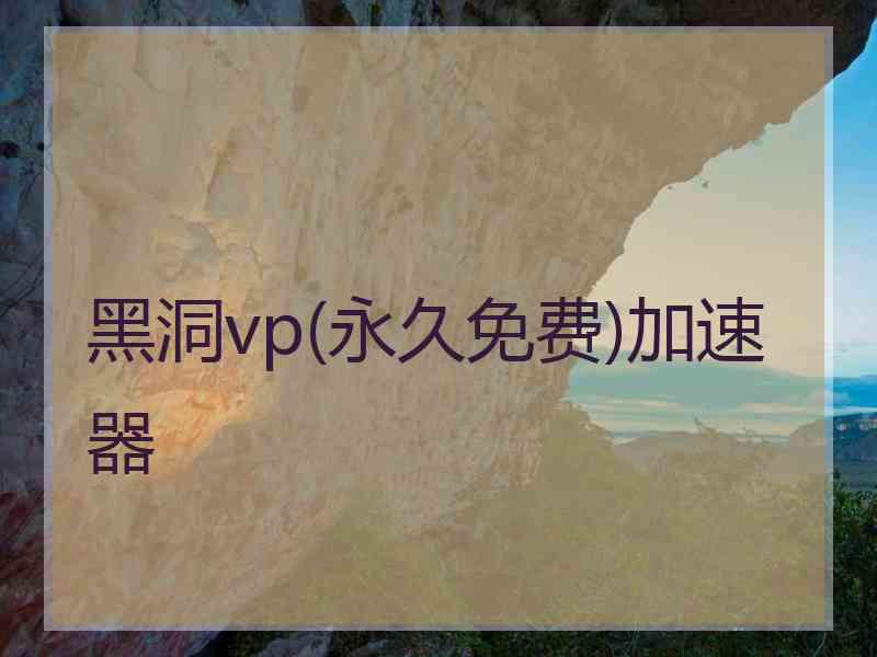 黑洞vp(永久免费)加速器