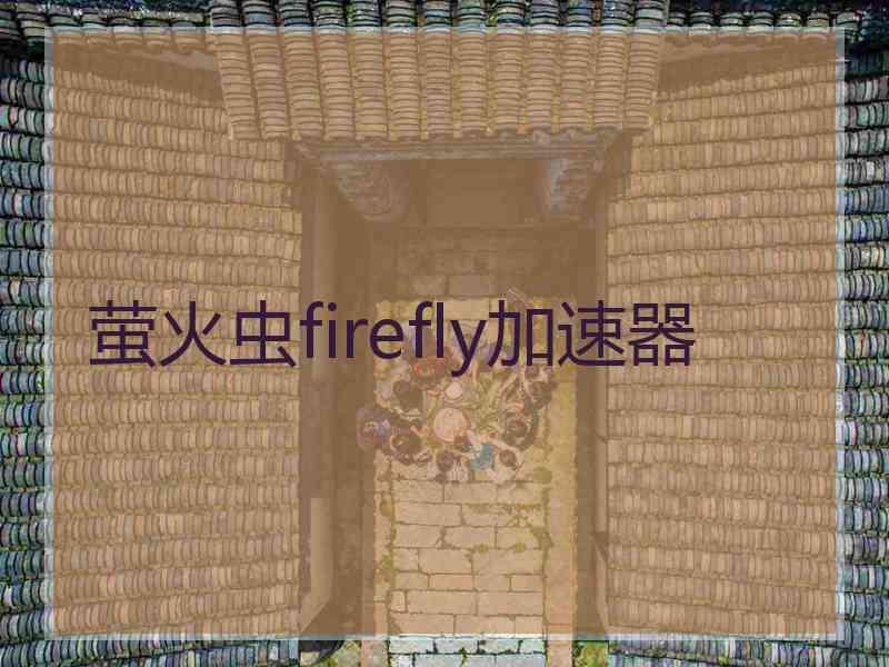 萤火虫firefly加速器