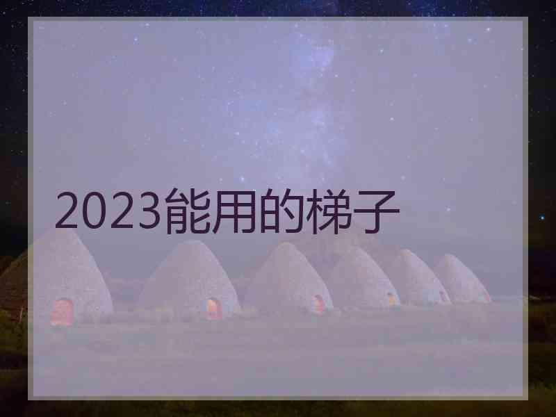 2023能用的梯子