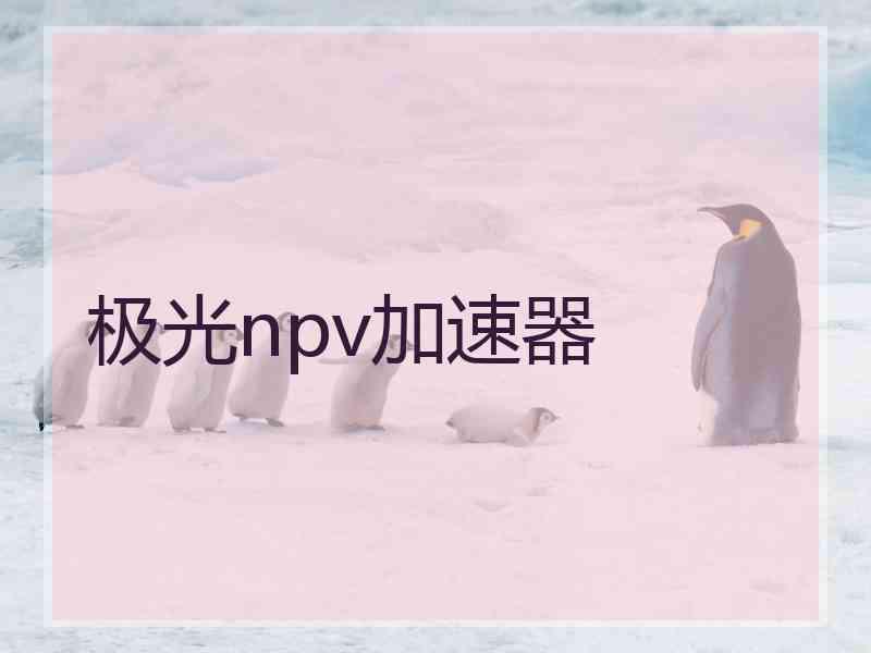 极光npv加速器