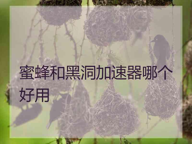 蜜蜂和黑洞加速器哪个好用